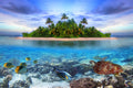 Tropical island with underwater coral reef, fish and sea turtle background