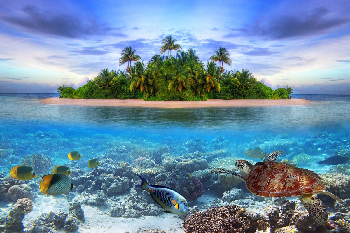 Tropical island with underwater coral reef, fish and sea turtle background