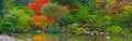 Autumn Serenity Garden terrarium background