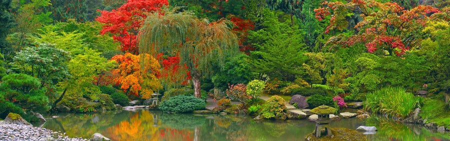 Autumn Serenity Garden terrarium background