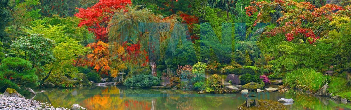 Autumn Serenity Garden terrarium background