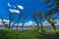 Blue Sky Over Tranquil Lake terrarium background