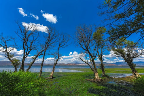Blue Sky Over Tranquil Lake terrarium background