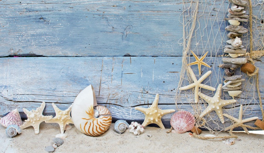 Blue Wood Plank with Starfish