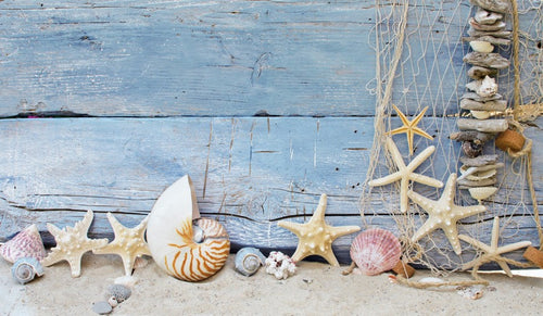 Blue Wood Plank with Starfish