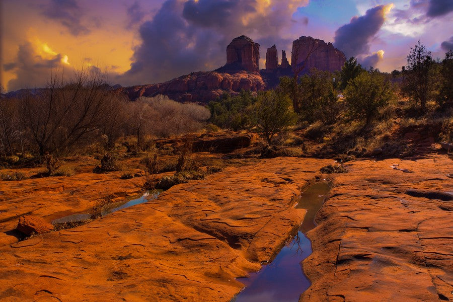 Cathedral Rock terrarium background