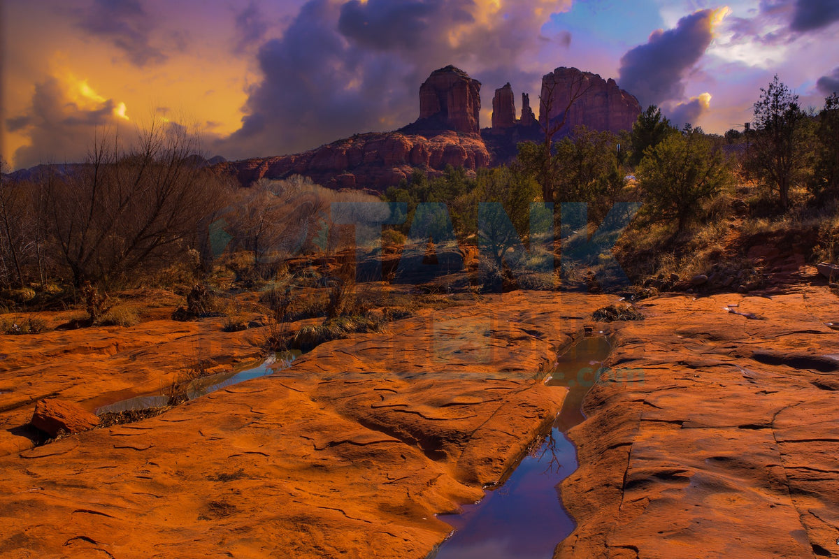 Cathedral Rock terrarium background