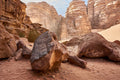 Closeup Desert Rock terrarium background