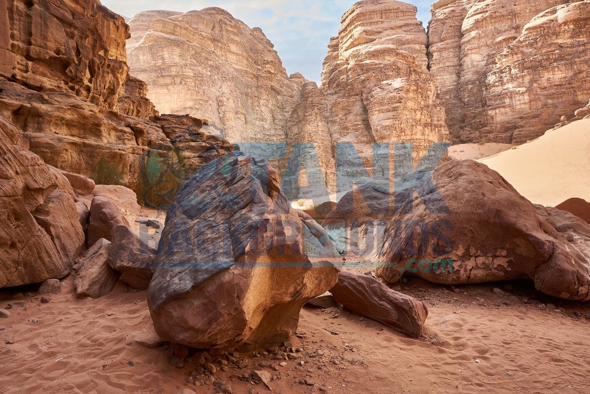 Closeup Desert Rock terrarium background