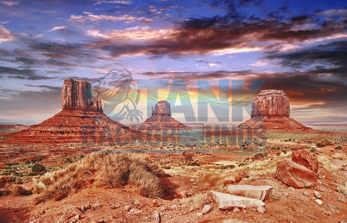 Cool Desert Sky terrarium background