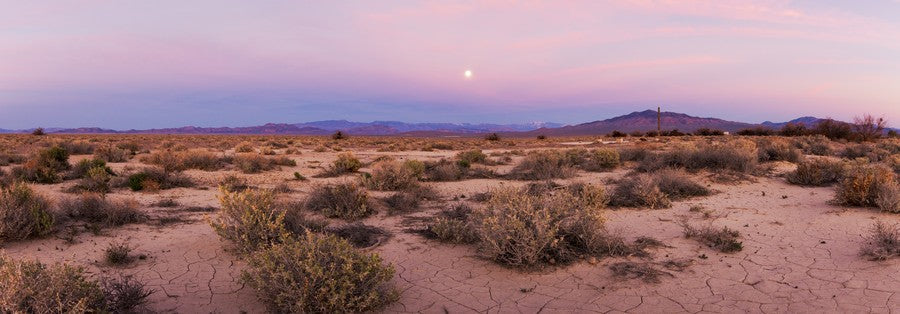 Death Valley Panoramic terrarium background