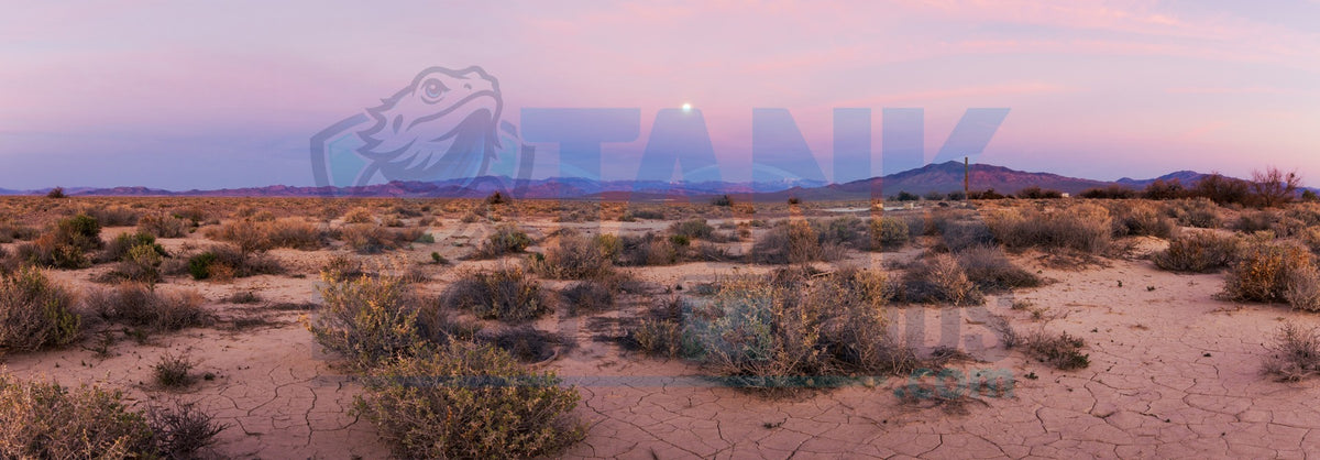 Death Valley Panoramic terrarium background