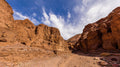 Desert Canyon Rock Walls terrarium background