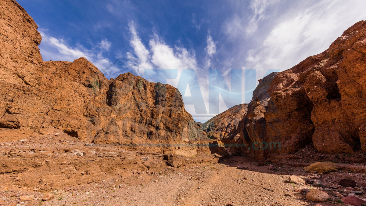 Desert Canyon Rock Walls terrarium background
