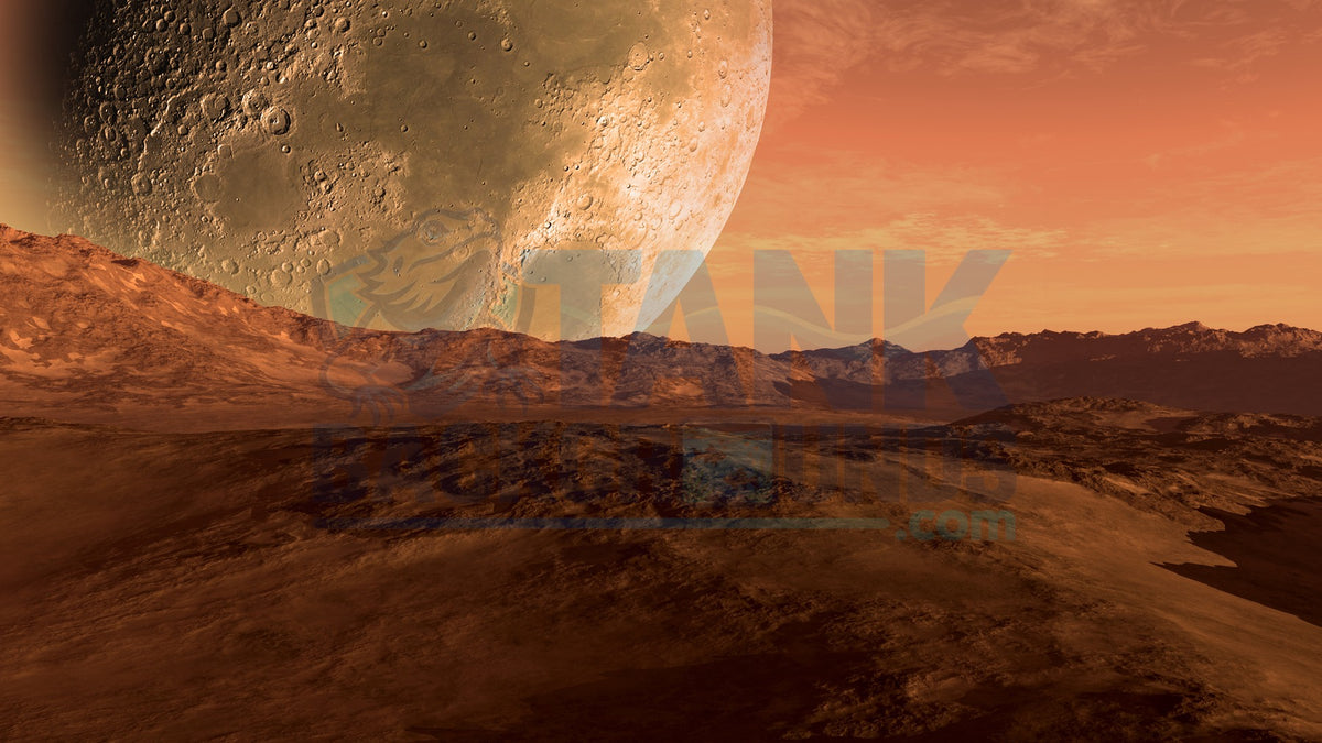 Desert Moon terrarium background