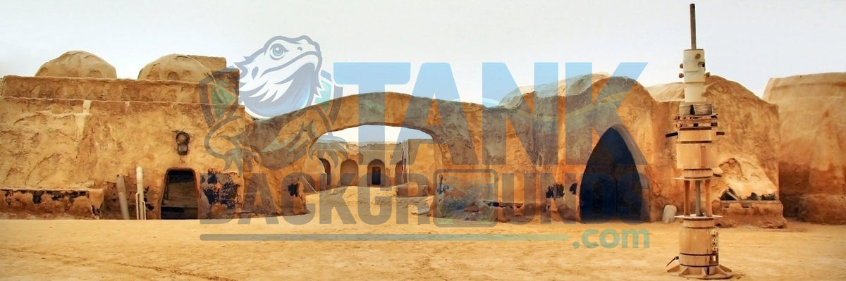 Desert Outpost Courtyard panoramic terrarium background