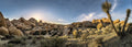 Dry Desert Panorama terrarium background