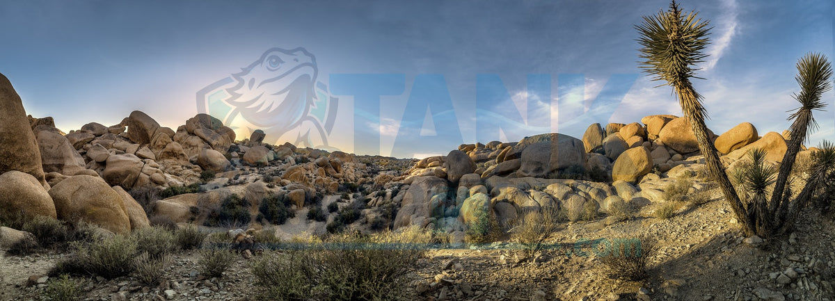 Dry Desert Panorama terrarium background