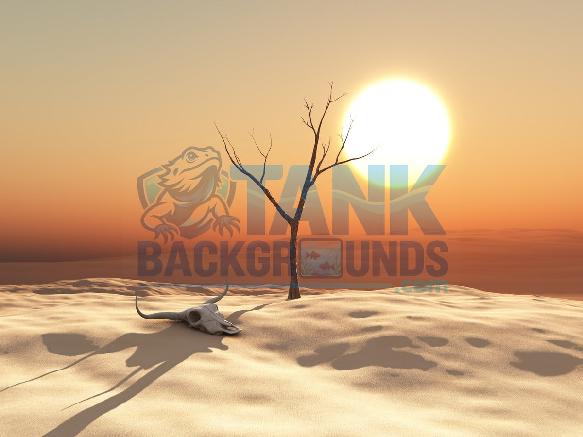 Dry Desert Skull terrarium background