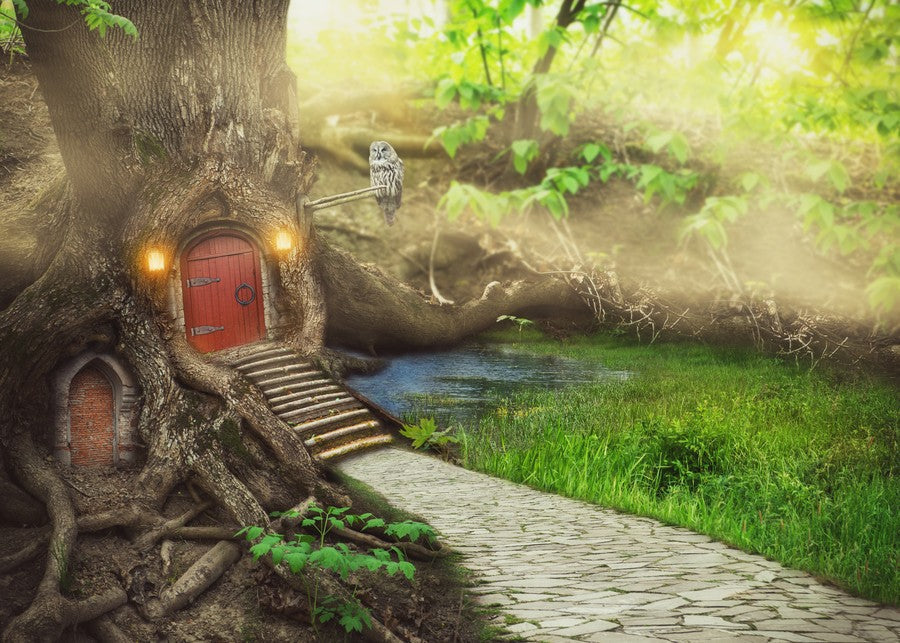 Fairy Tree House in Forest