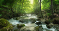 Forest Waterfall terrarium background
