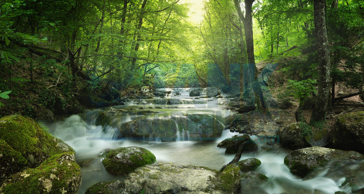 Forest Waterfall terrarium background