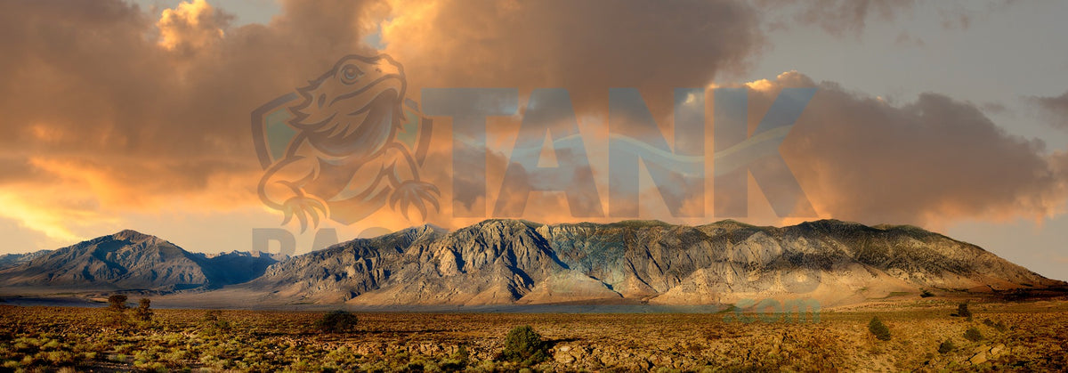 Golden Desert Mountain Panorama