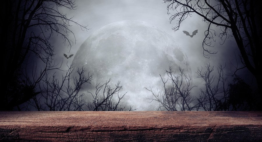 Halloween Dead Trees with Bats and Moon terrarium background