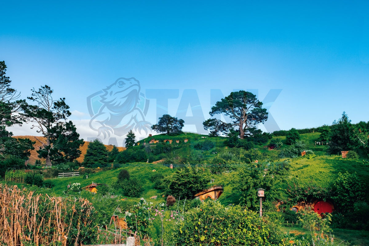 Hobbit Village terrarium background