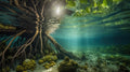 Mangrove Roots with Sun aquarium background
