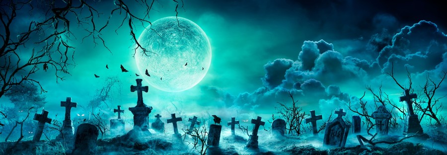 Moonlit Cemetery with Bats terrarium background