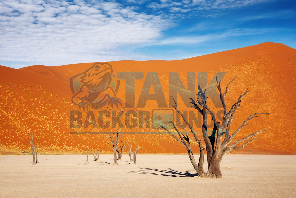 Orange Desert background