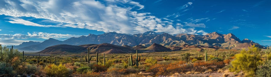 Panoramic Mountains with Cactus background