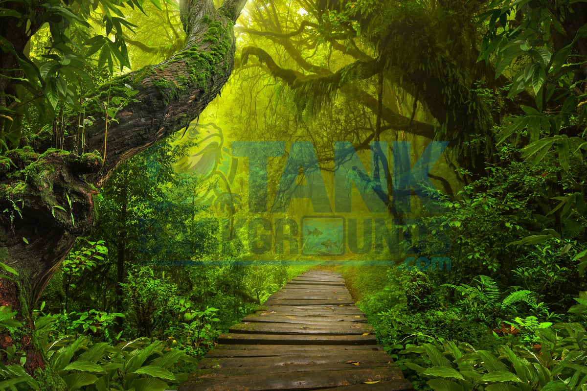 Path in the Jungle terrarium background