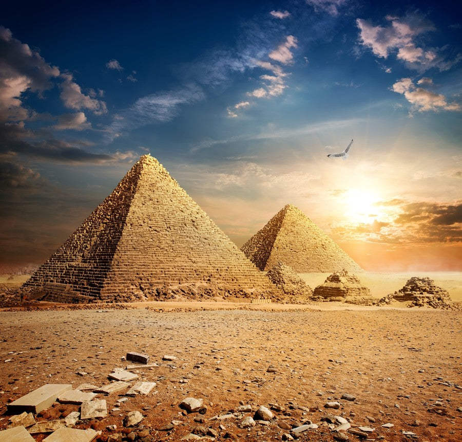 Pyramids at Sunset terrarium background