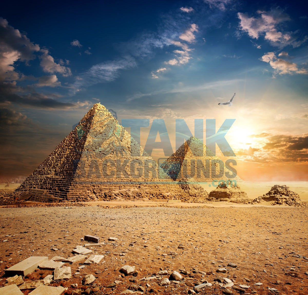 Pyramids at Sunset terrarium background