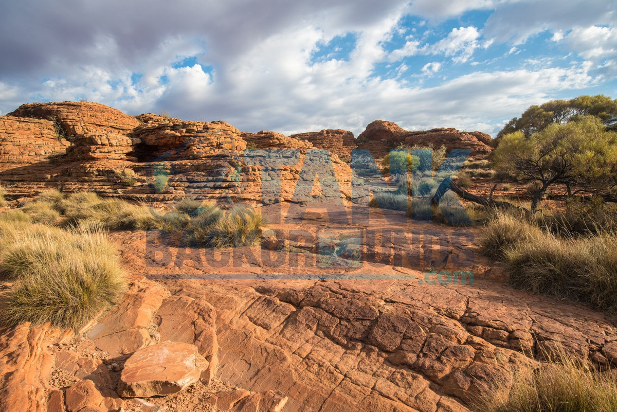 Red Rock Desert Canyon
