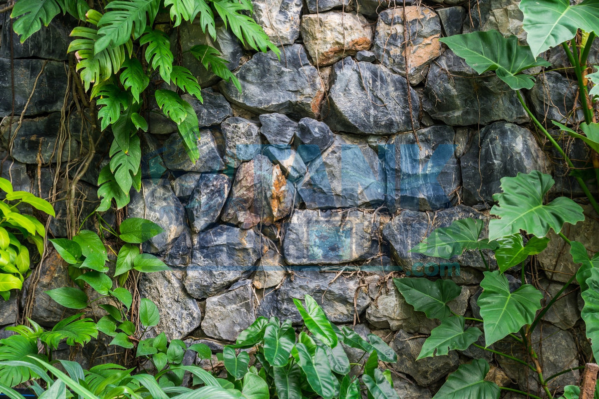 Rock Wall with Plants terrarium background