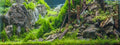 Rocky Planted Aquarium background