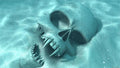 Skull Buried in Sand aquarium background