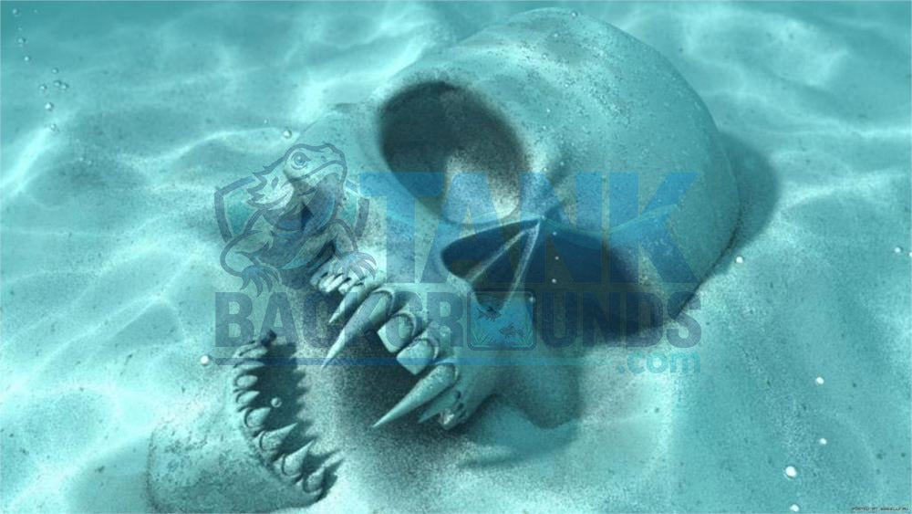 Skull Buried in Sand aquarium background