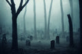 Spooky & Misty Graveyard