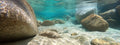 Sun Reflecting on Underwater Rocks aquarium background