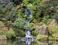Tranquil Forest Waterfall terrarium background