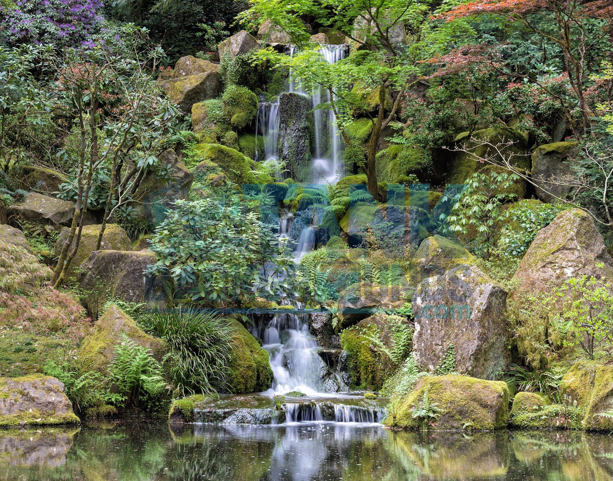 Tranquil Forest Waterfall terrarium background