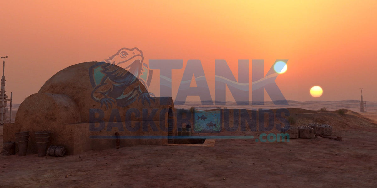 Twin Suns Desert Outpost background