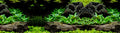 Underwater Driftwood Garden aquarium background