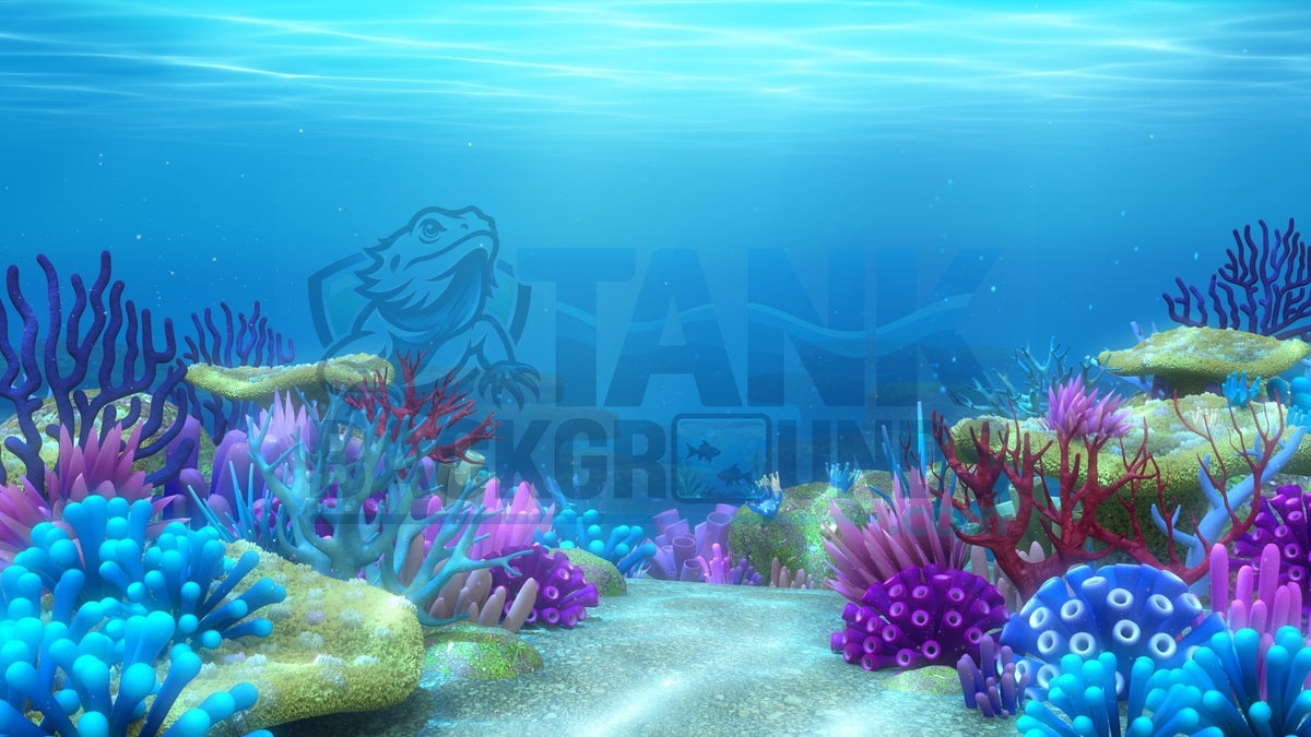 Vibrant Coral Garden