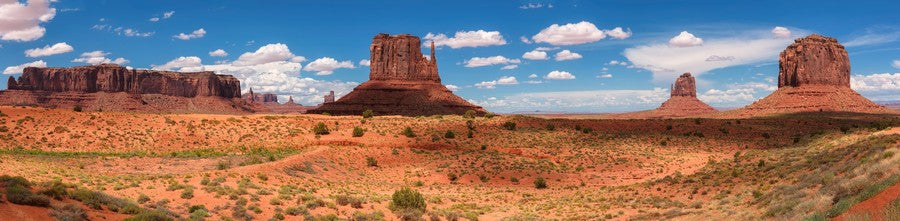 Way Out West background