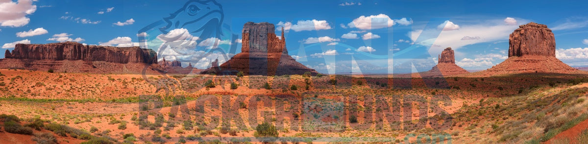 Way Out West background